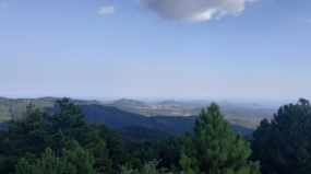 screenshot 2025 12 03 165150