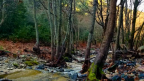 screenshot 2025 12 03 172002