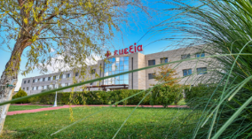 screenshot 2025 12 03 184641